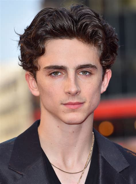 timothee chalamet hair